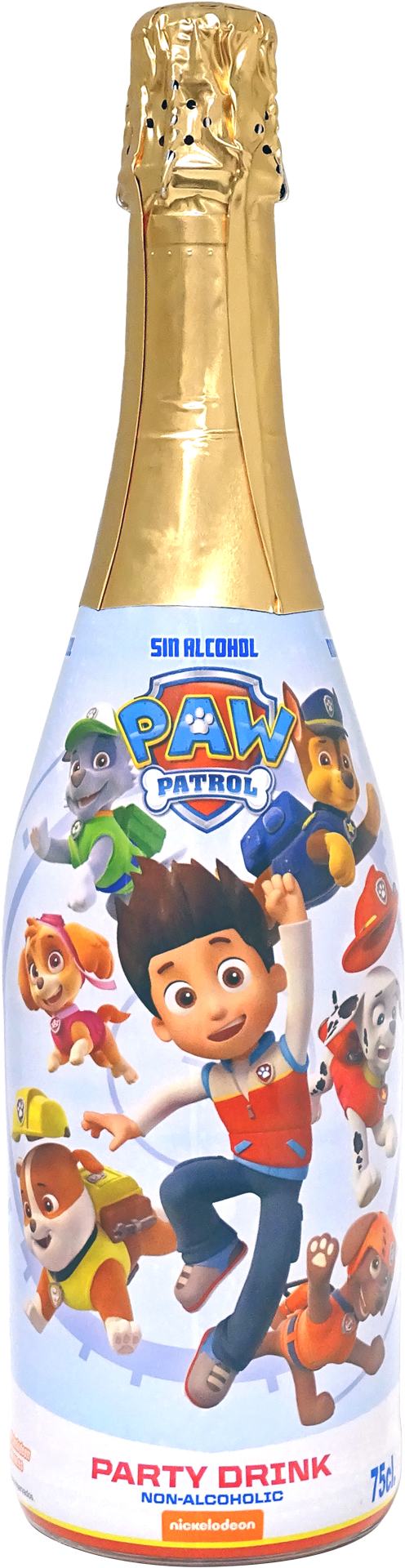 PAW PATROL BOY